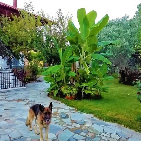 Cottage House,With Big Garden & Lawn Amaliada Exterior foto